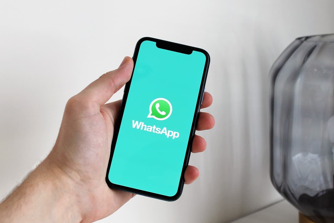 WhatsApp Automation & Chatbot